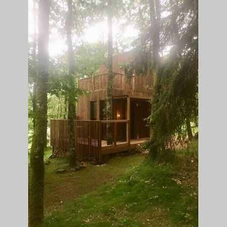 Adorable Cabane Dans Un Espace Boise Saint-Junien Kültér fotó